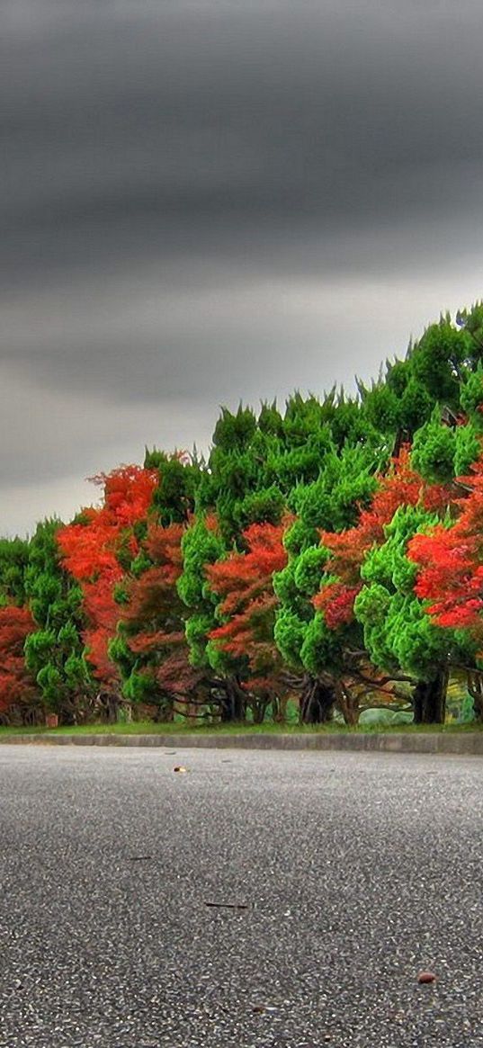 trees, autumn, green, red, alternation, expensive