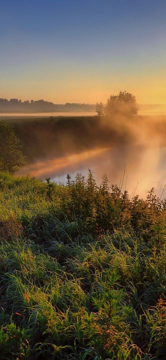 fog, haze, road, country, grass, sun, morning, dawn, river