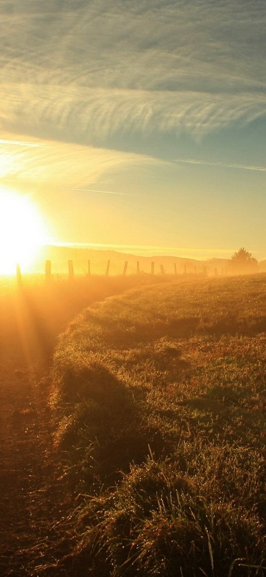 sun, light, dazzle, expensive, country, fence