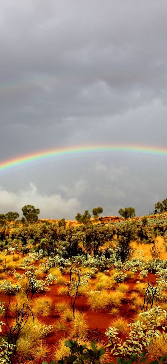 rainbow, bushes, wild west, vegetation, sand