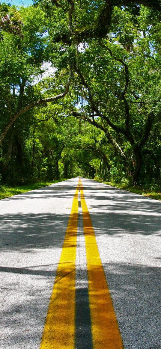 road, asphalt, lines, double continuous, paint, light, straight line