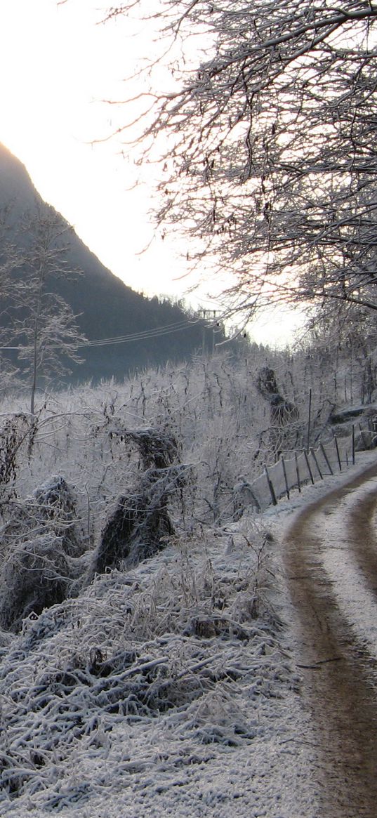 winter, hoarfrost, gray hair, road, country, gloomy, cold, melancholy