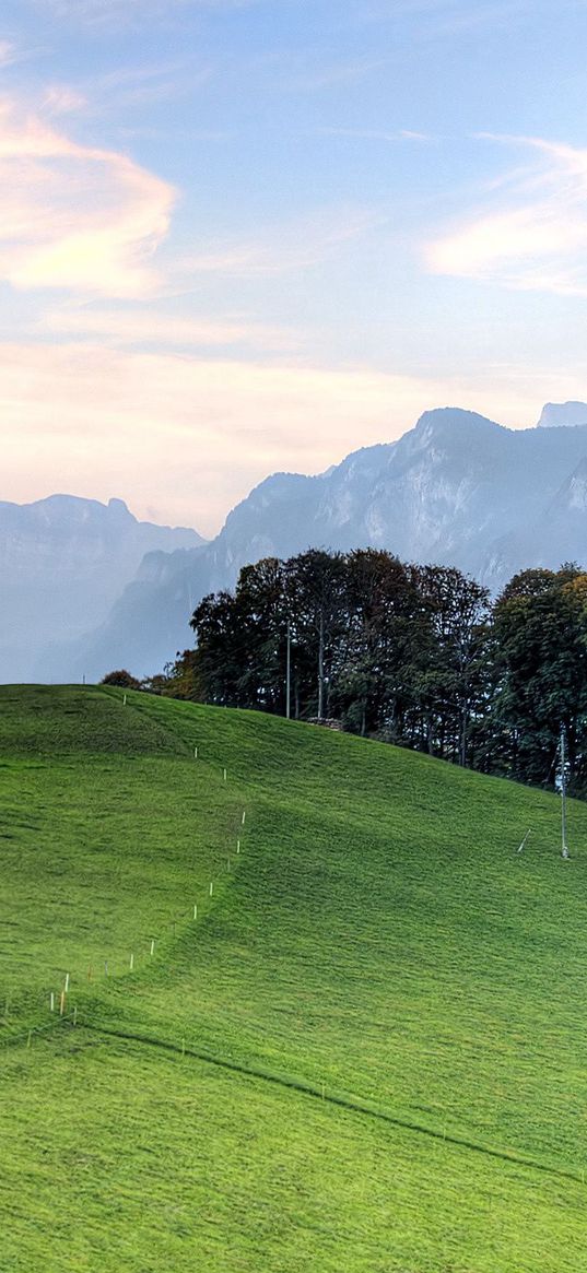 lodge, meadow, hill, pasture, open spaces