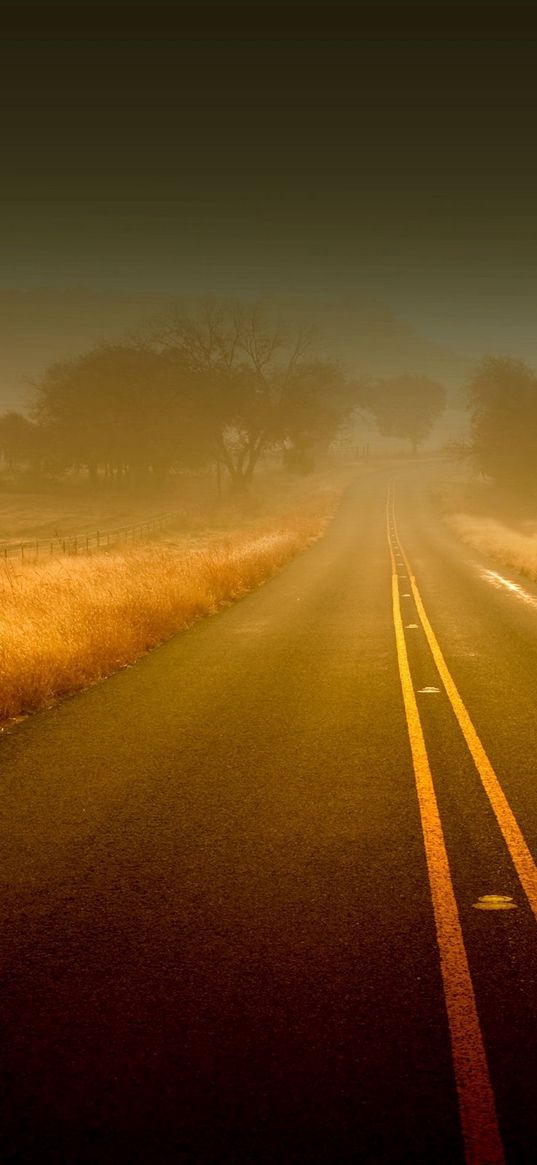 road, lines, fog, strips, uncertainty, asphalt, fields, grass, autumn