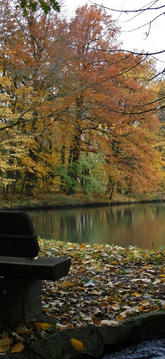 bench, lake, autumn, wood, trees, stream, leaf fall