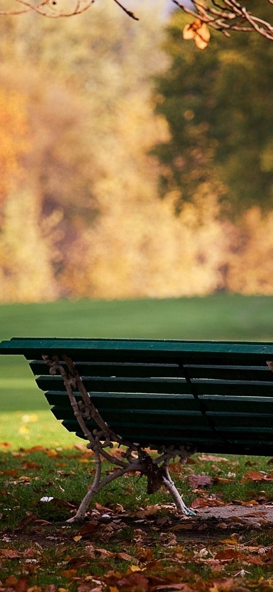 bench, park, autumn, leaves, earth, october, lonely