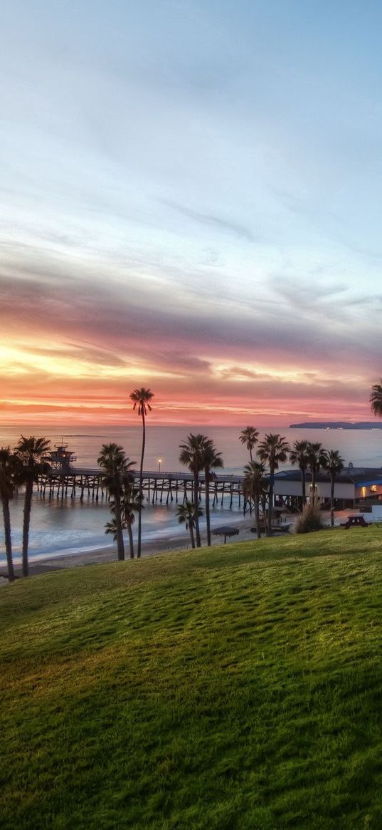 palm trees, coast, sea, table, benches, picnic, slope, evening