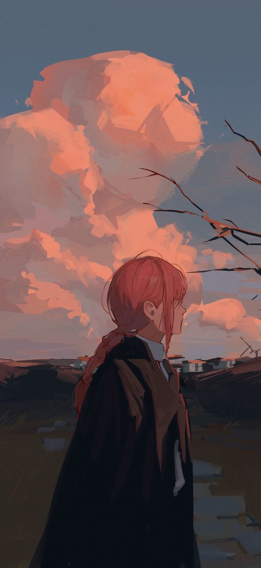 makima, chainsaw man, anime, girl, lonely, raincoat, field, branches, clouds, sky, sunset, evening, art