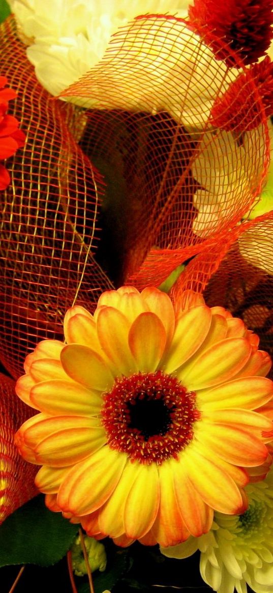 gerbera, colorful, flowers, bouquet, decoration