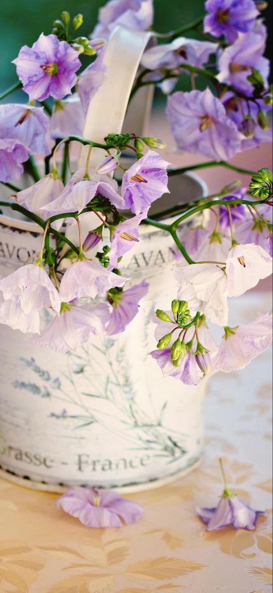 flowers, bouquet, pills, sweets, tray