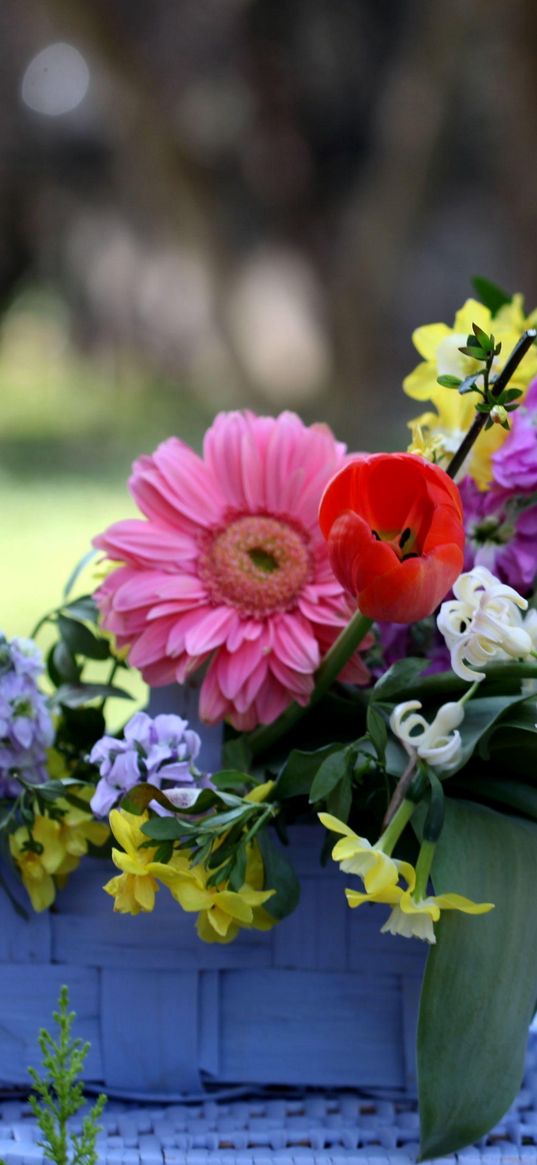 tulips, gerberas, lucius, basket, composition