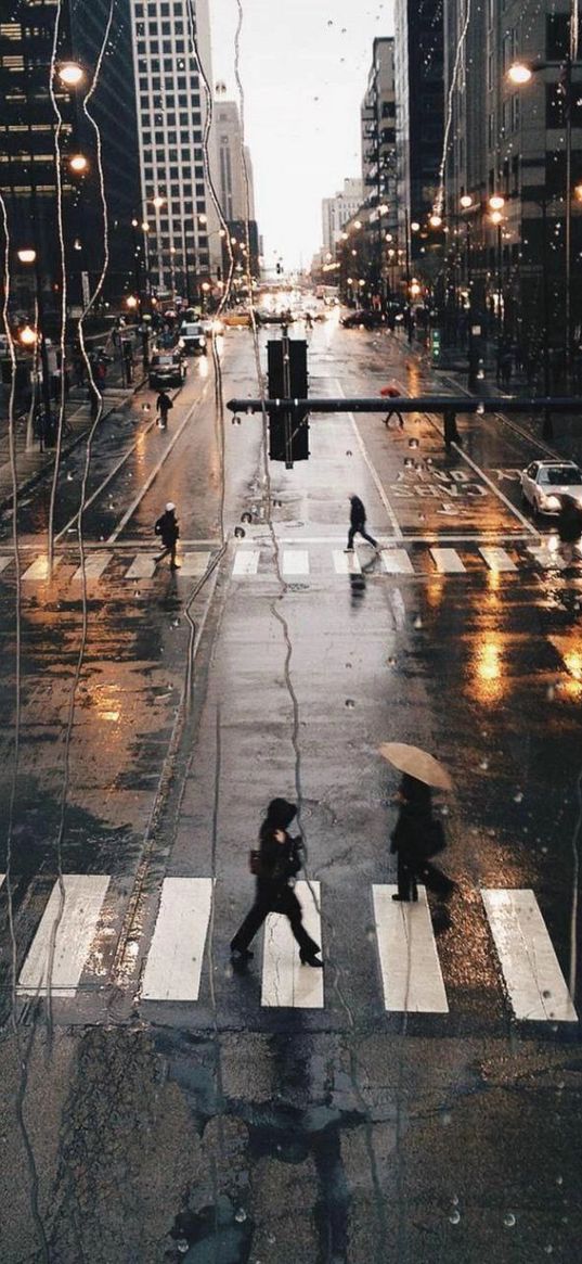 road, people, houses, buildings, street, metropolis, city, drops, rain