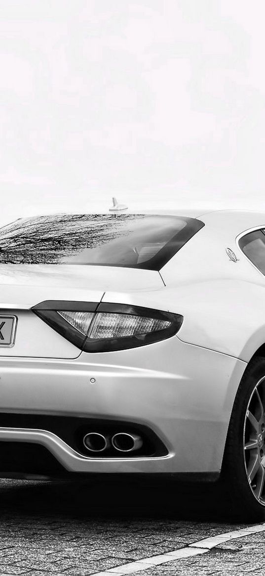 maserati, white, rear view, street