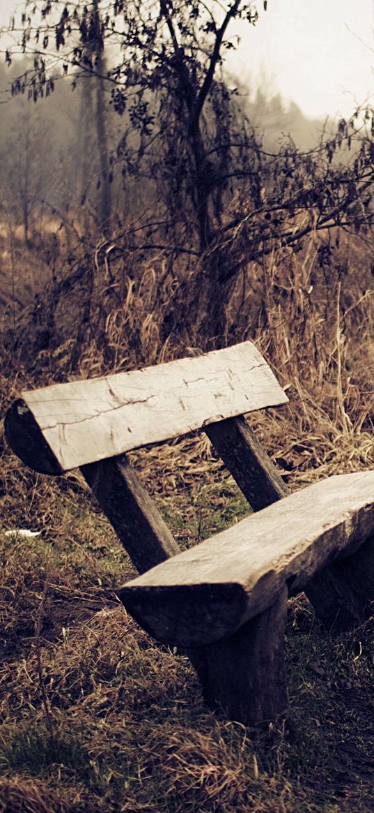 bench, fog, road