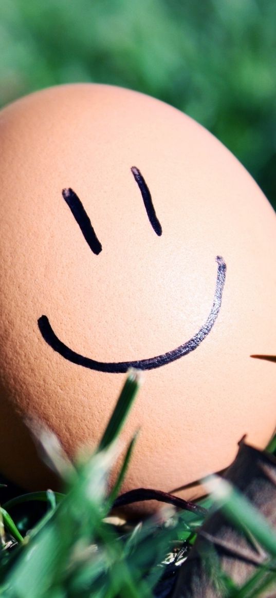 grass, egg, smiley, smile, humor, macro