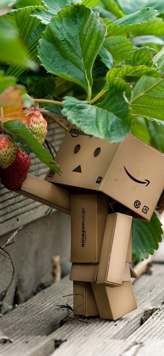 danboard, cardboard robot, strawberries, berries, grass, walk