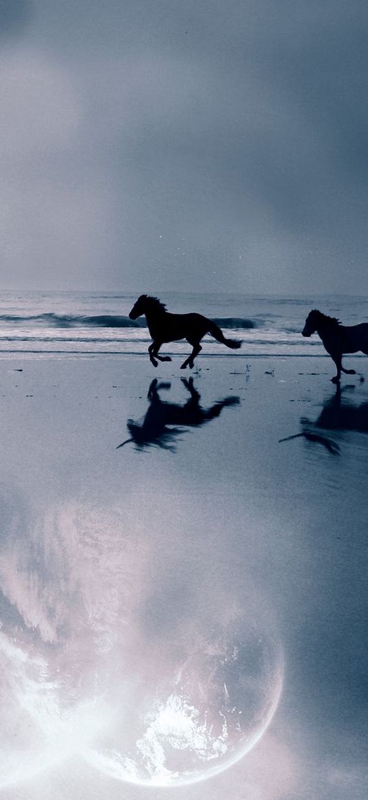 horse, sea, coast, couple, escape, evening