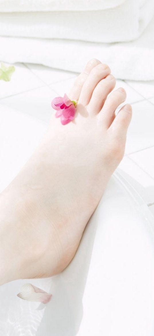 foot, bath, aromatherapy, petals