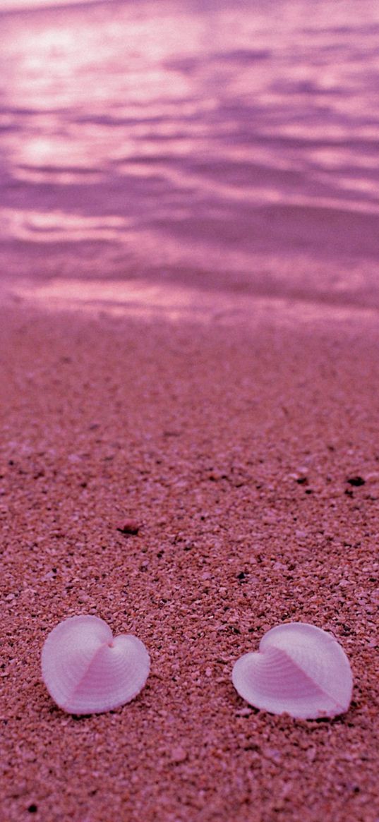 seashells, beach, heart, sand, pink