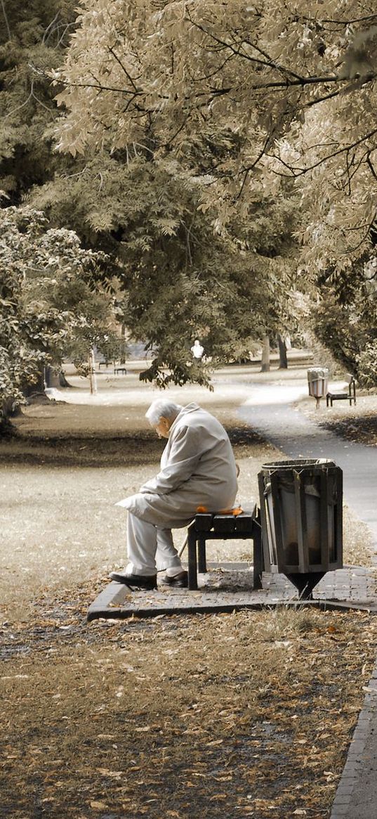 park, people, old, bench, sit, trees, loneliness