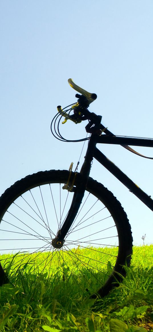 bike, field, grass, trees