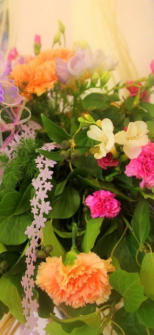 carnations, flowers, decoration, butterfly, tender