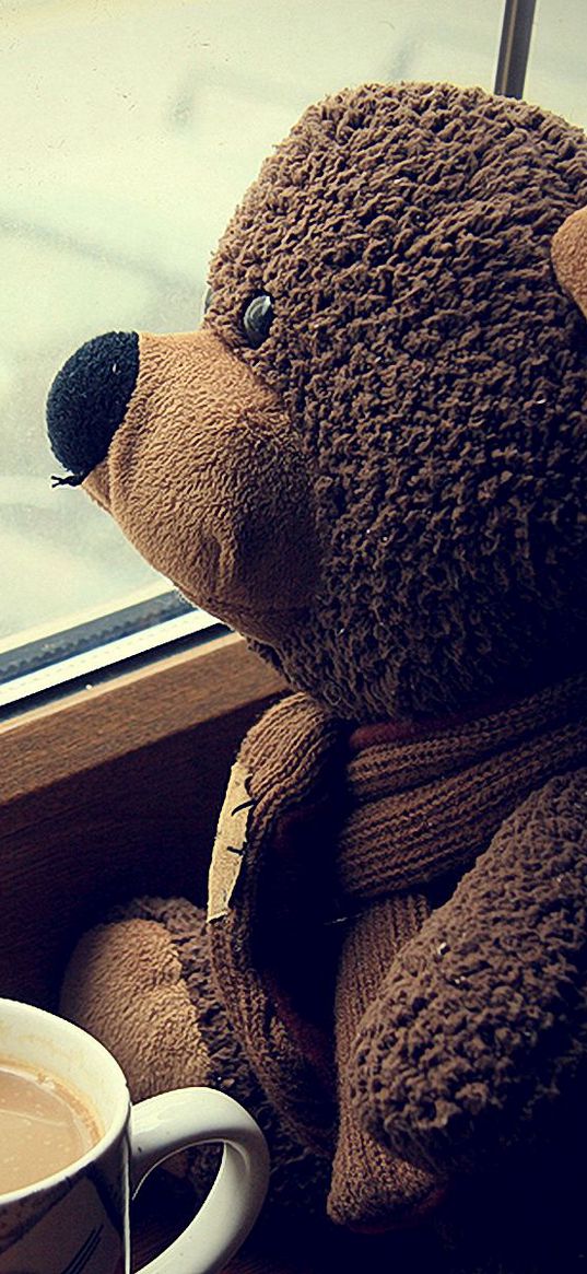 teddy bear, toy, cup, coffee, window, expectations, mood