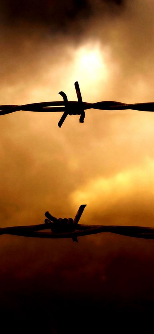 barbed wire, sunset, sky, obstruction, clouds