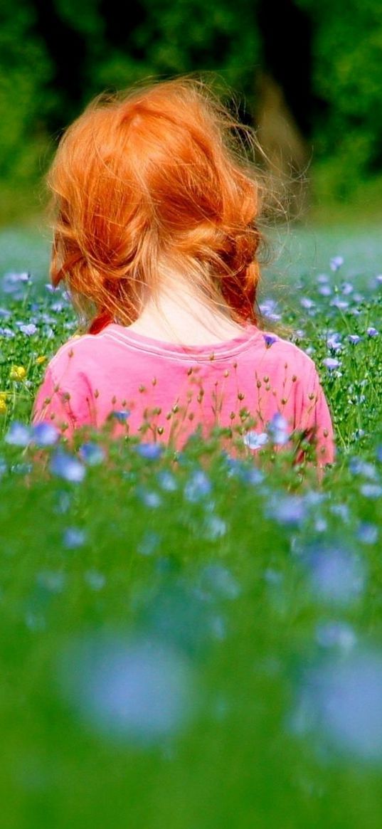 little girl, grass, sitting, field