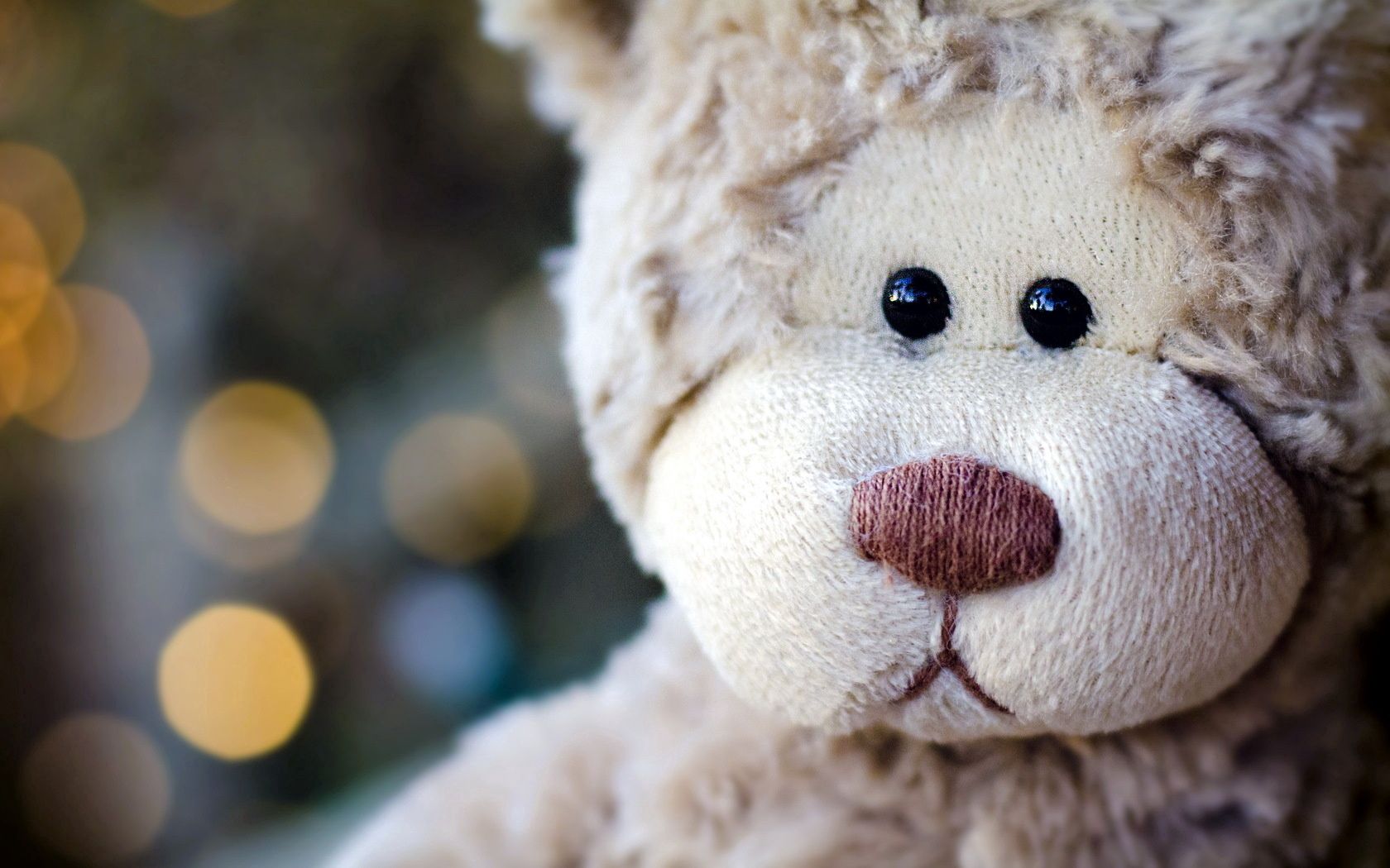 teddy bear, face, head, flashing, toy