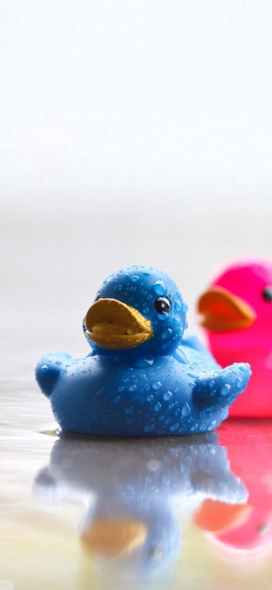 ducks, toys, colorful