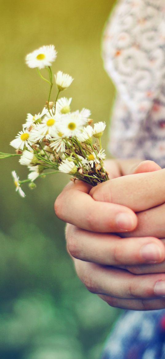 hands, bouquet, flowers, girl