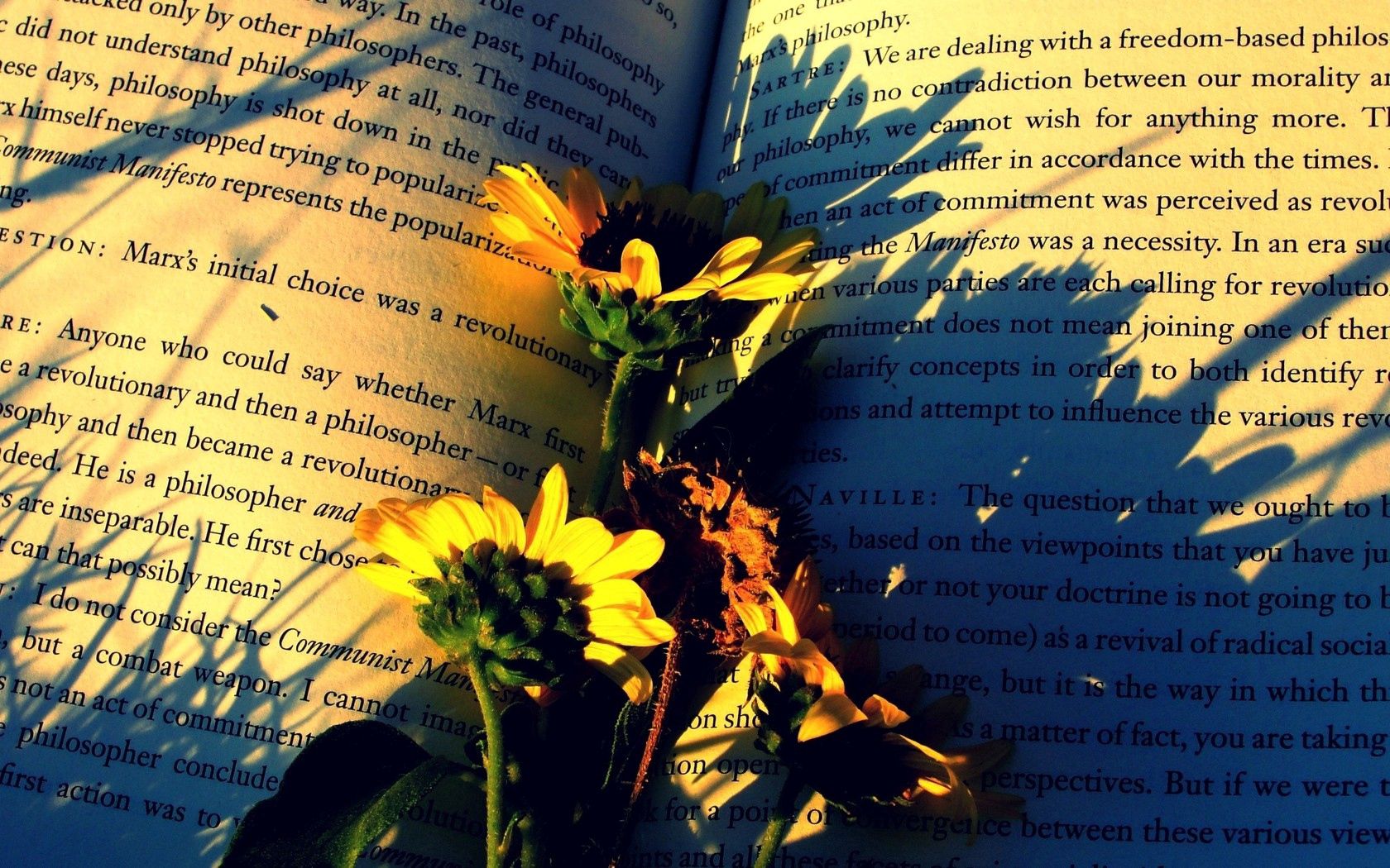 books, flowers, paper, shadow