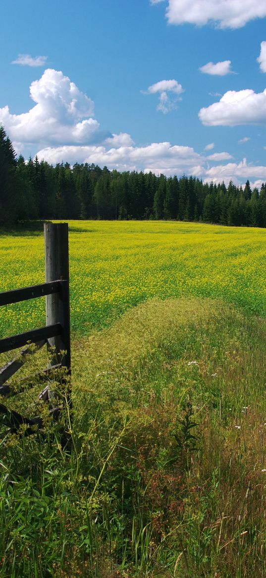 meadow, flowers, clouds, gate, protection, green