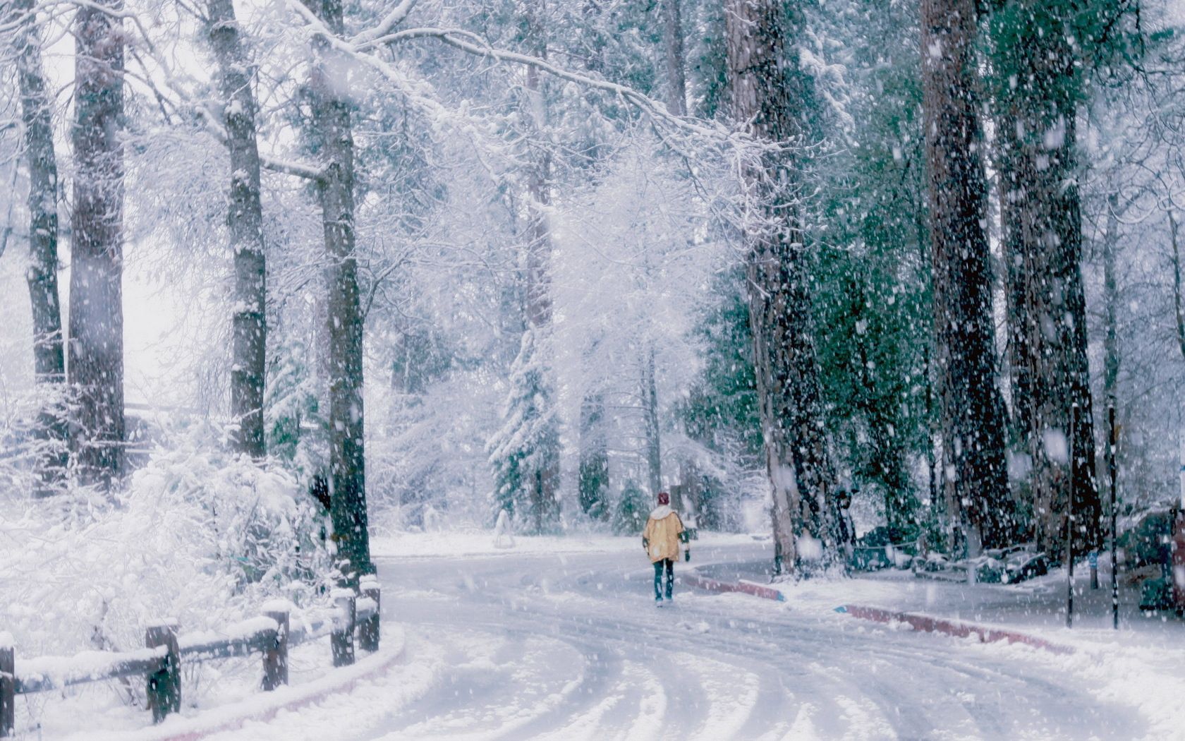 park, snow, walk, person, back, painting, arthemis