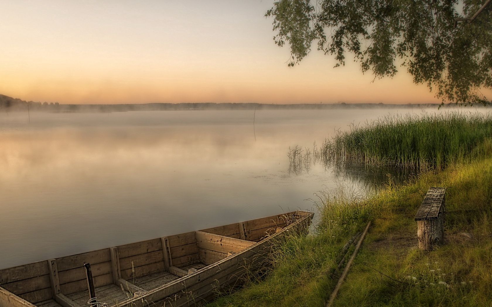 boat, coast, mooring, bench, grass, fog, evening