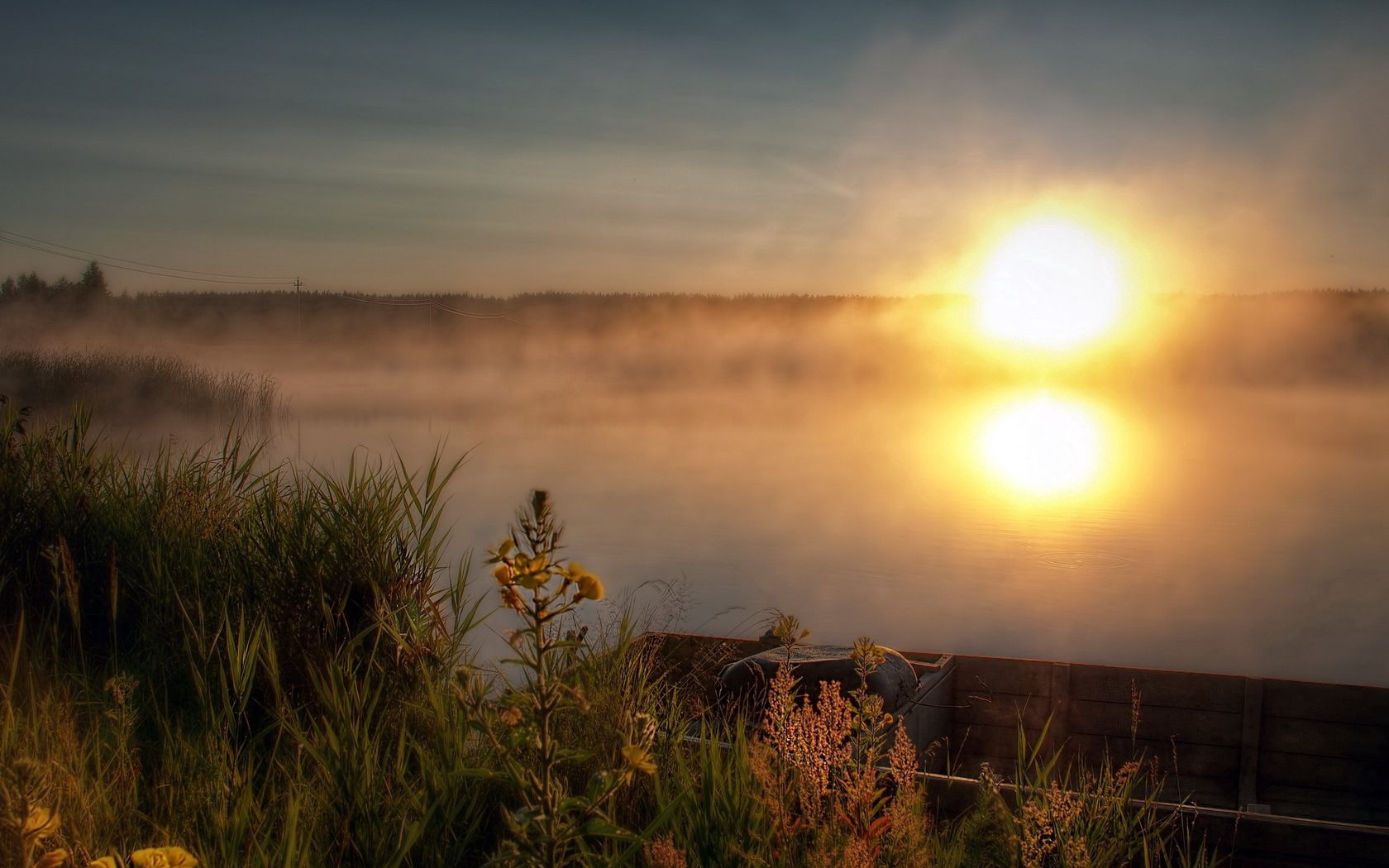 sun, disk, decline, coast, boat, mooring, vegetation, light