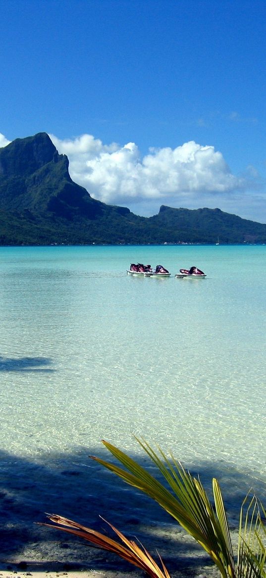 mountains, blue water, lagoon, gulf, branches, palm tree, motorcycles