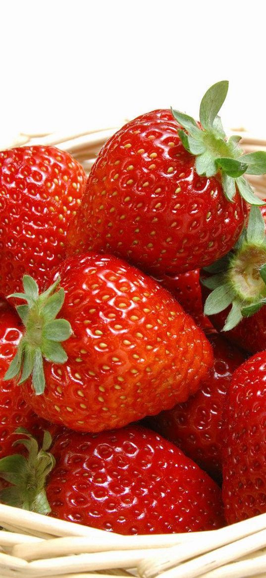 strawberry, basket, ripe, fresh