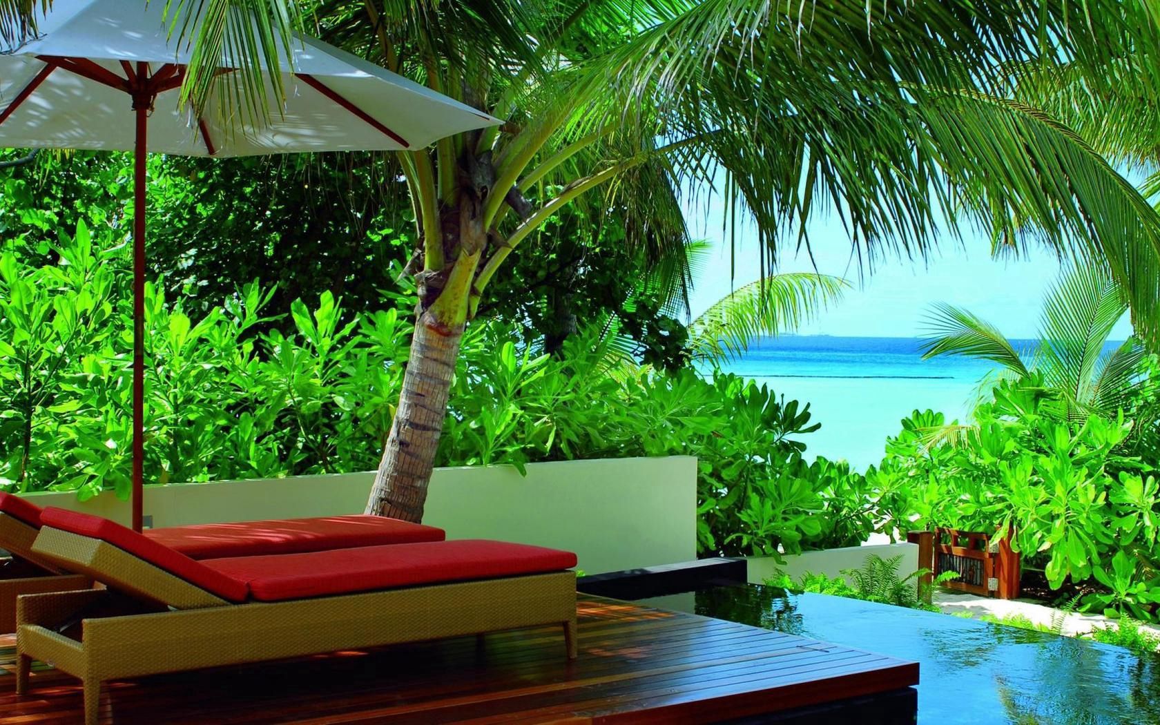 maldives, greens, vegetation, tropics, resort, chairs, palm trees, chaise lounge