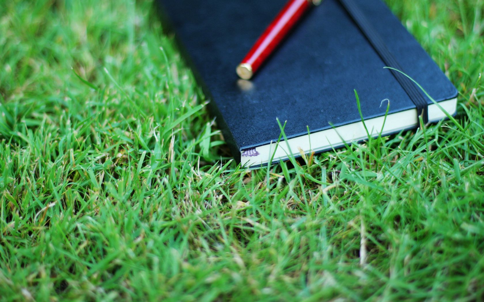 notebook, pen, grass, herbs