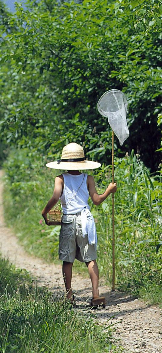 insect net, baby, walk, trail, trees