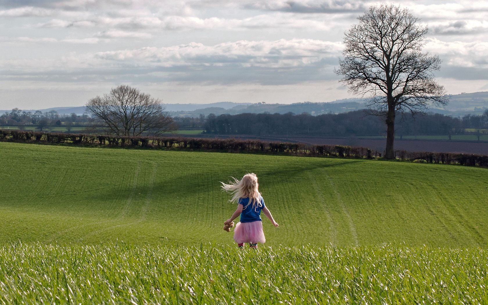 child, field, grass, trees