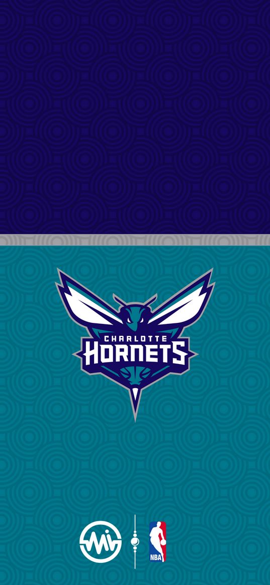 charlotte hornets, basketball club, nba, basketball, hornet, ball, sting, logo, blue, sports