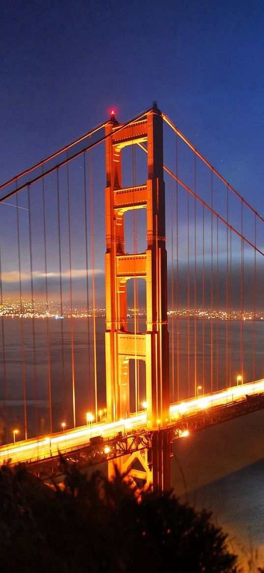 bridge, night, lights, san francisco, california, usa