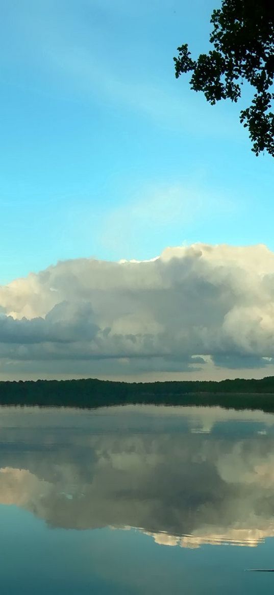 clouds, volume, trees, reflection, pond