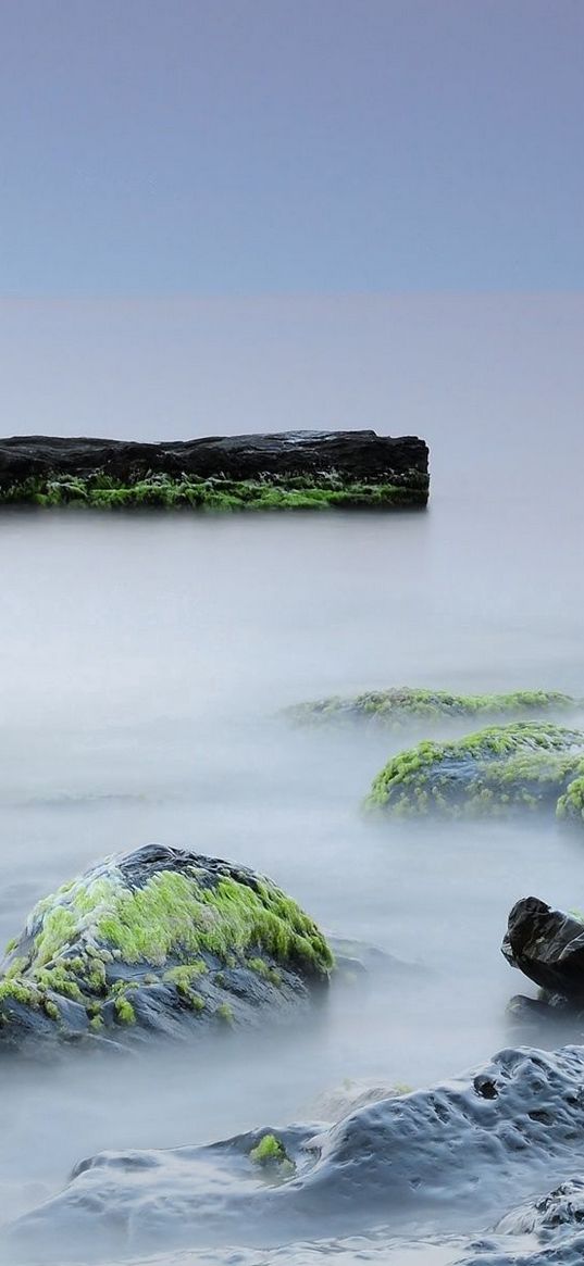 stones, moss, rocks, smooth surface, silence, fog, veil, wet, block, coast, signature