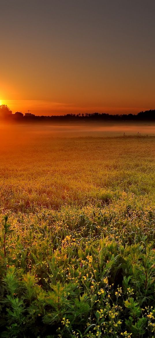 field, decline, orange, sun, disk, haze, twilight