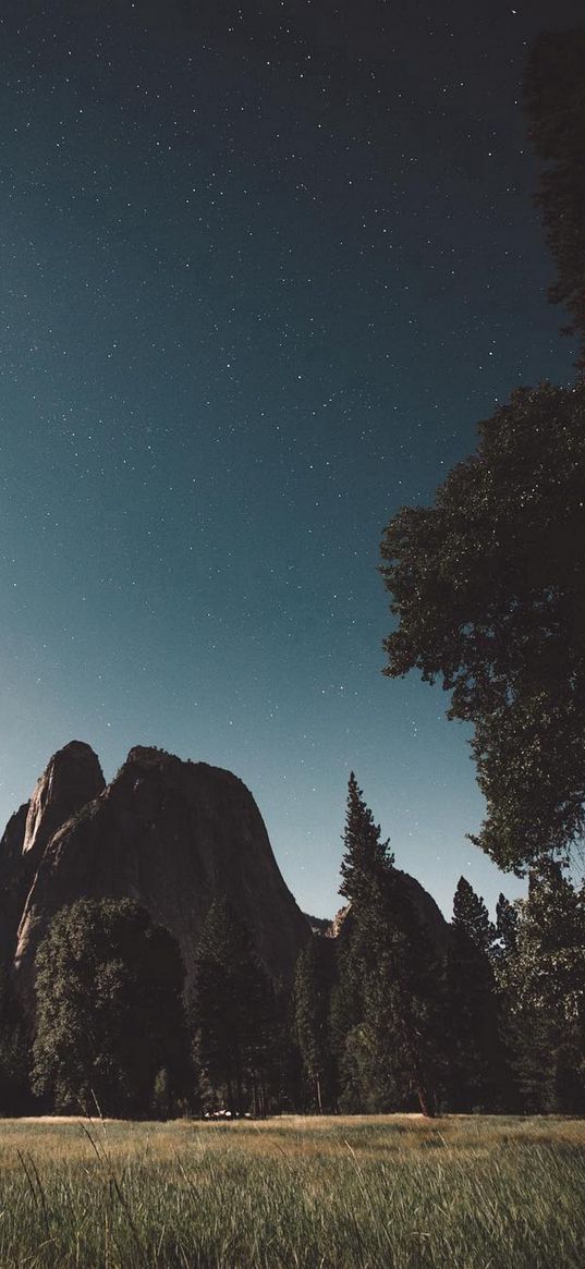 grass, glade, trees, forest, mountains, starry sky, stars, nature