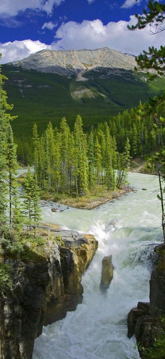 wood, river, islet, trees, greens, reserve